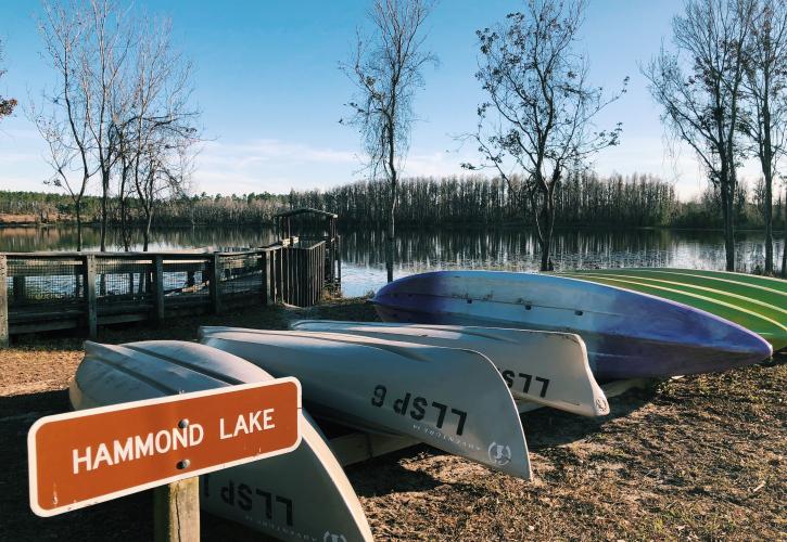 Lake Louisa State Park Florida State Parks